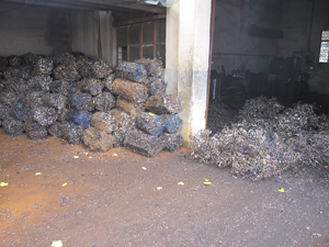 ����鿴������Ϣ